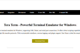 Is Tera Term the Best Free Terminal Emulator
