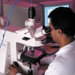 Scientist examining samples through a microscope in a laboratory