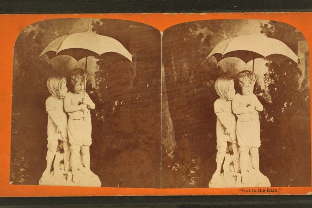 An umbrella in the rain