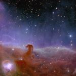 Euclid’s view of the Horsehead Nebula ESA25170866