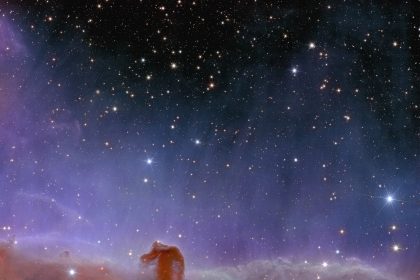 Euclid’s view of the Horsehead Nebula ESA25170866